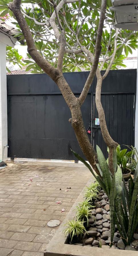 Chic And Cozy Studio Canggu  Ngoại thất bức ảnh
